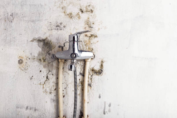 Mold Removal and Inspection in Rossford, OH